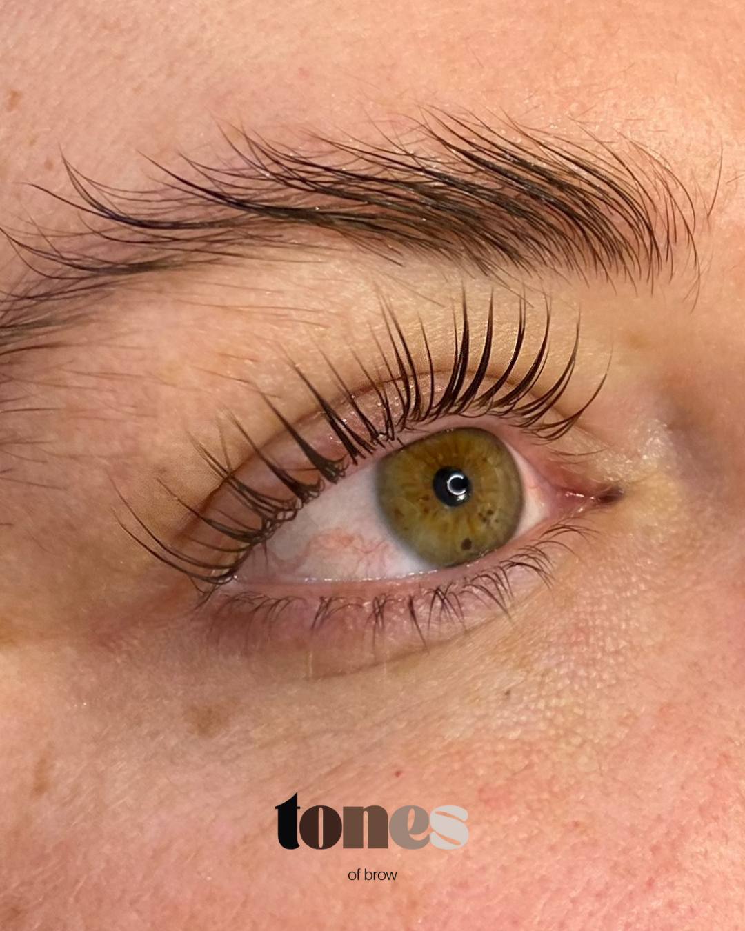 Brows